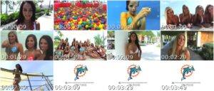 Miami Dolphins Cheerleaders – Call me maybe by Carly Rae