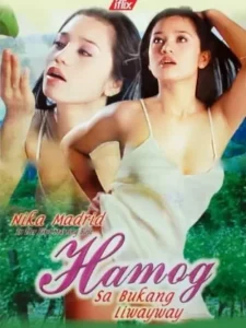 Hamog Sa Bukang Liwayway 2004 Movie Poster