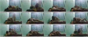 Sinulit ang gabi